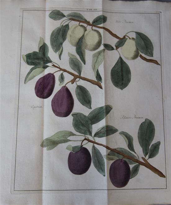 Knoop, Johann Hermann - Beschrijving en afbeeldingen van de beste Soorten van Appelen en Peeren ... 3 works in 1,